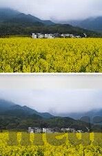 久久麻豆视频-题解一个被误解的娱乐流量现象——久久麻豆视频的背后浮世绘